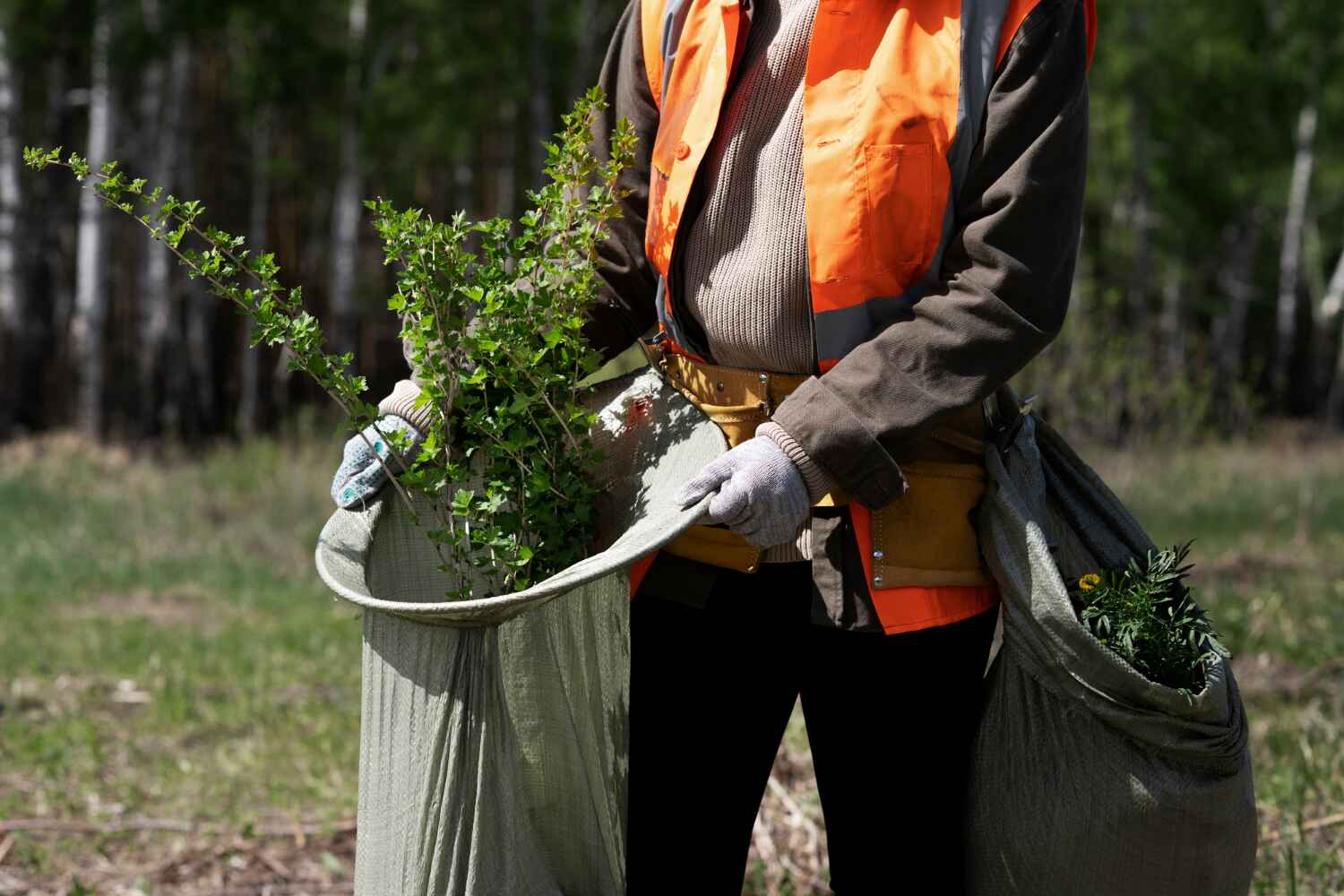 Best Tree Clearing Services  in South Brooksville, FL